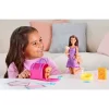 Barbie Pup Adoption Playset And Doll With Brown Hair, 2 Puppies And Color-Change